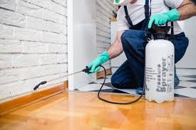 Best Residential Pest Control  in Grayson Vley, AL